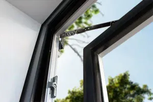 OscilloBattant_fondcielarbre_BD