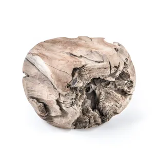 Gommaire-decoration-teak-furniture-coffee_table_root_ball-G062-NAT-Antwerpen